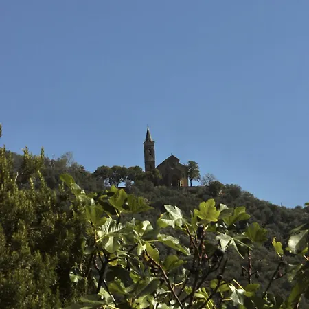 Host4u - Cozy Terraced House With Beautiful View On The Olives Valley